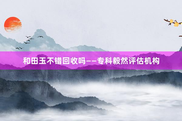 和田玉不错回收吗——专科毅然评估机构